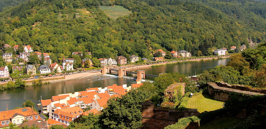 *Heidelberg*