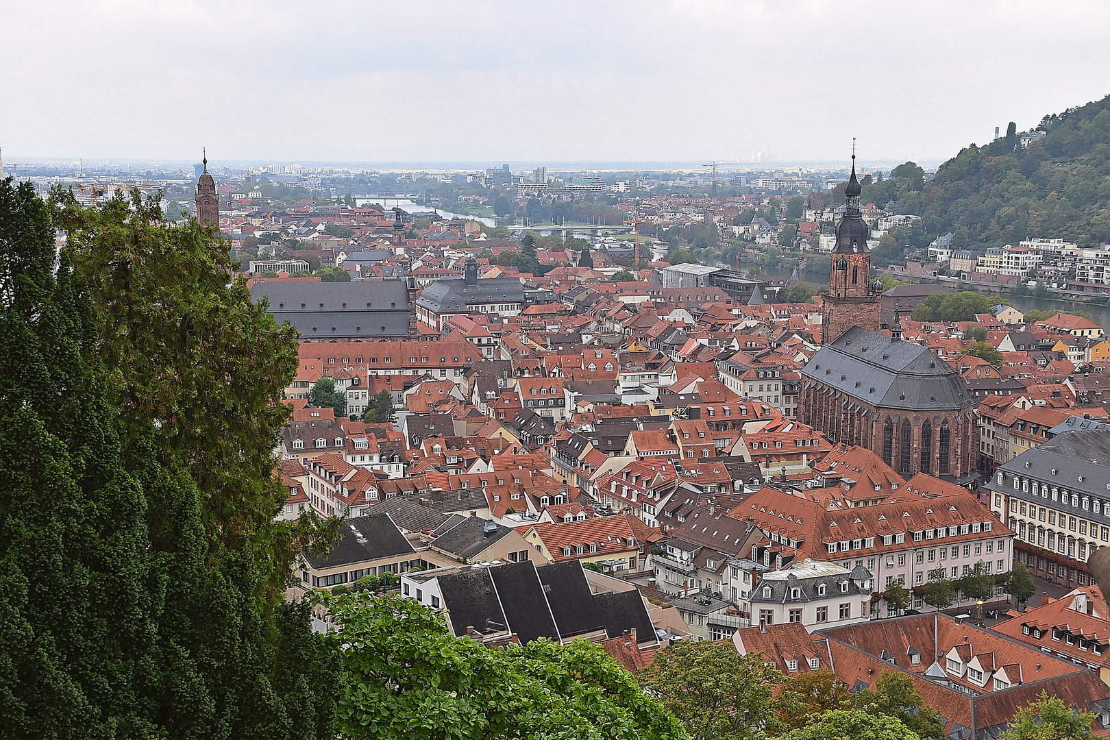 Heidelberg