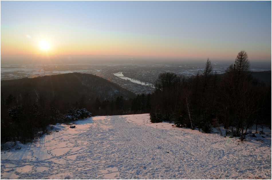 Heidelberg 5