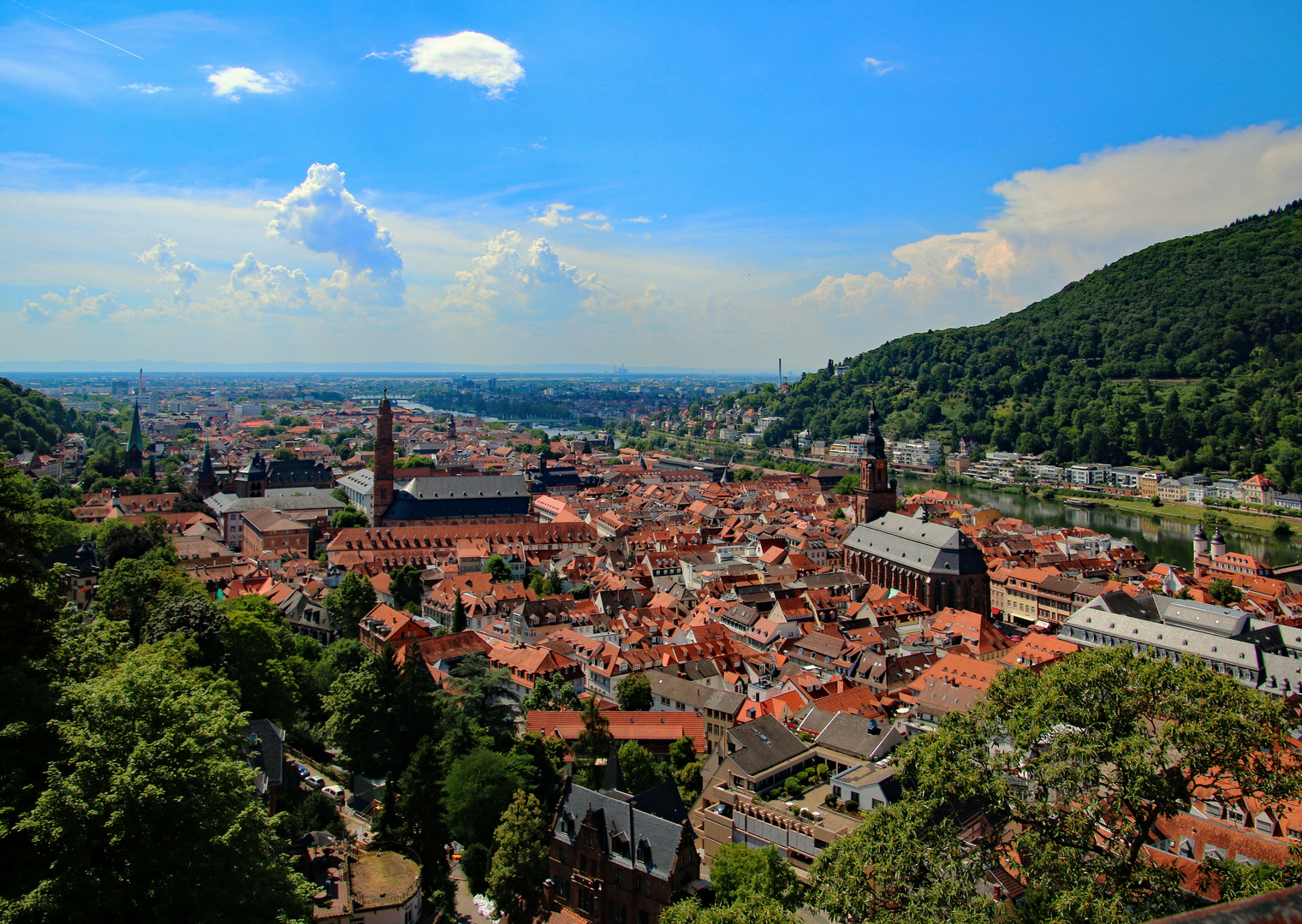 ***** HEIDELBERG *****