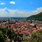 ***** HEIDELBERG *****