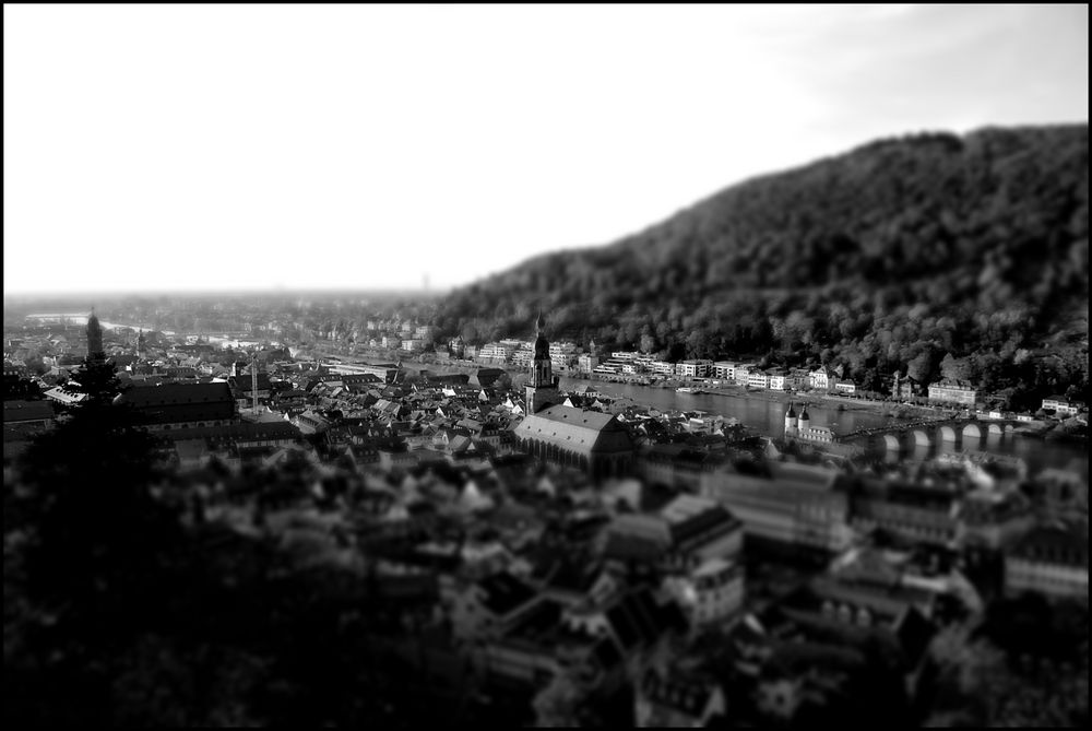 Heidelberg