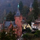 "Heidelberg"