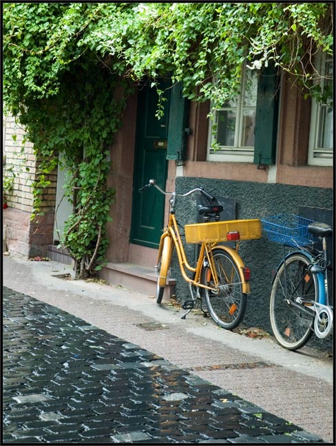 Heidelberg after rain