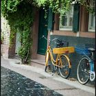 Heidelberg after rain