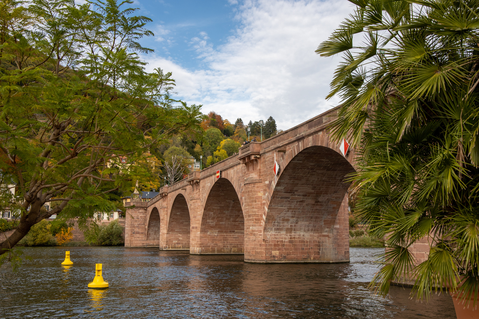 Heidelberg - alte Brücke