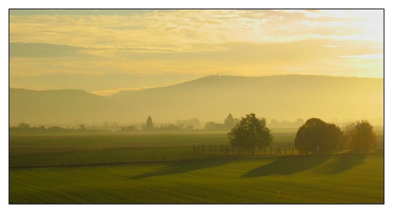 Heidelberg am Morgen