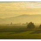 Heidelberg am Morgen