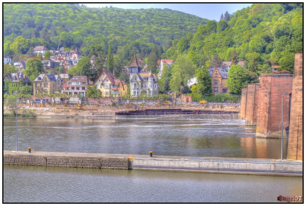 Heidelberg am Neckar