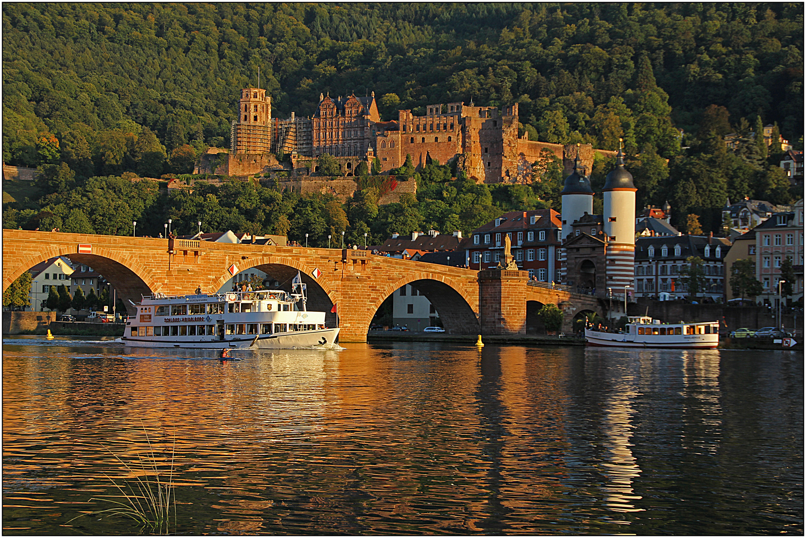 Heidelberg am Neckar