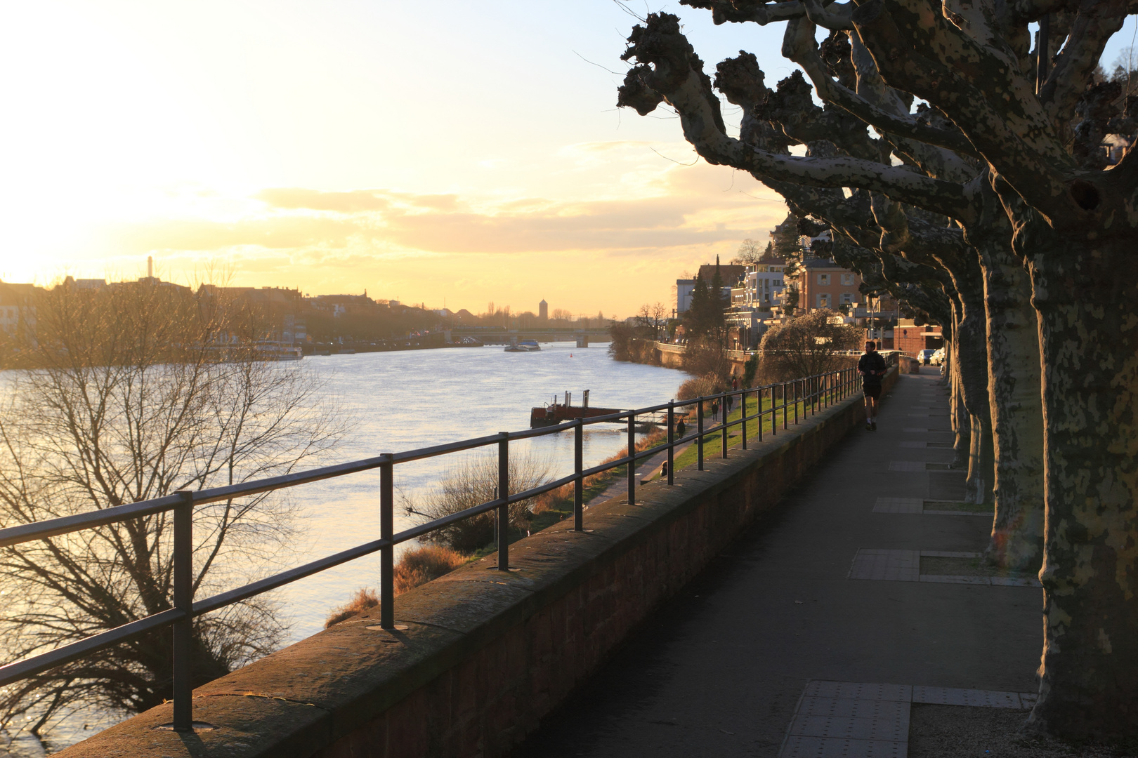 Heidelberg am Neckar