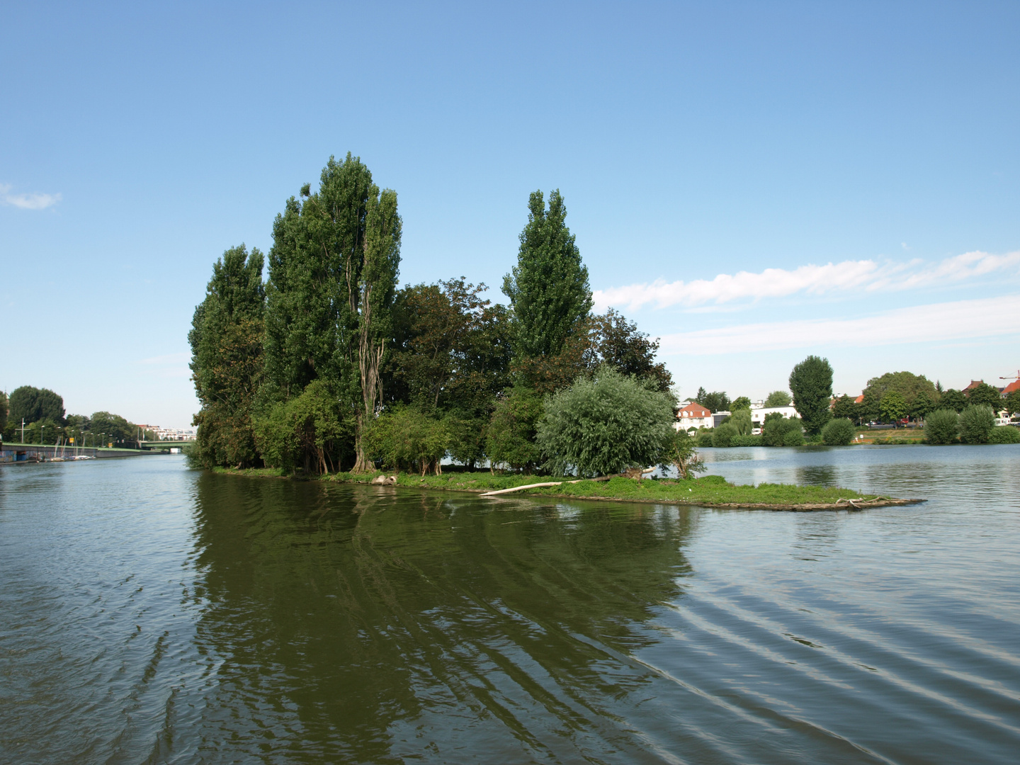 Heidelberg am Neckar