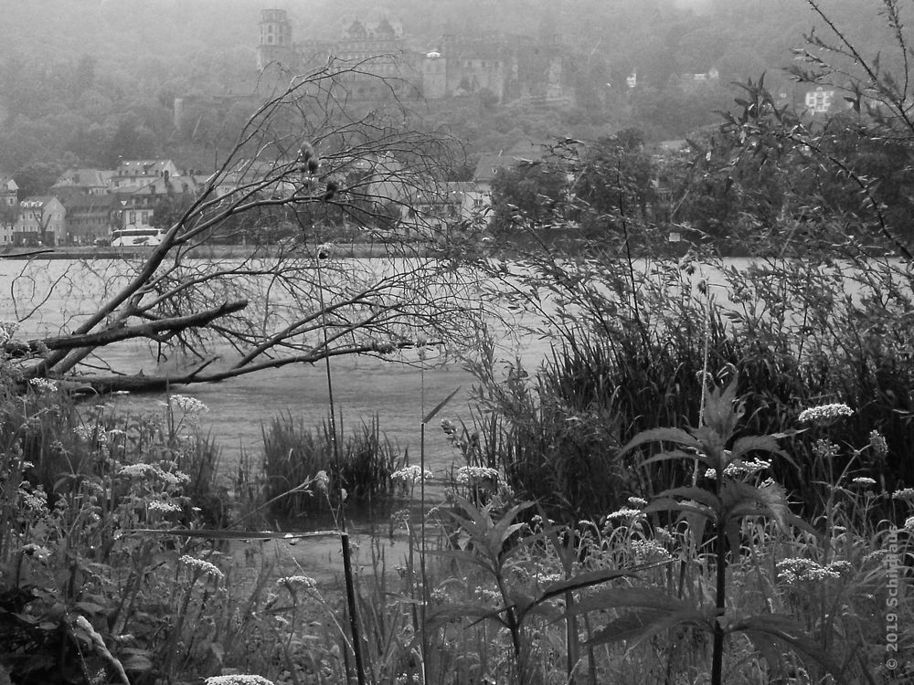 Heidelberg, am Neckar im Regen