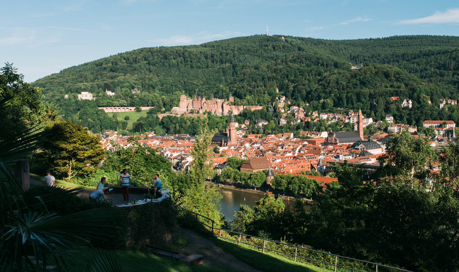 Heidelberg am Philosophengärtchen 2017