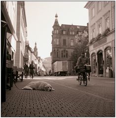 Heidelberg