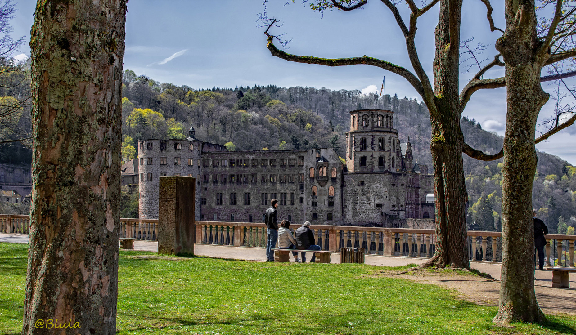 Heidelberg, Blick auf die Schlossruine