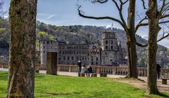 Heidelberg, Blick auf die Schlossruine