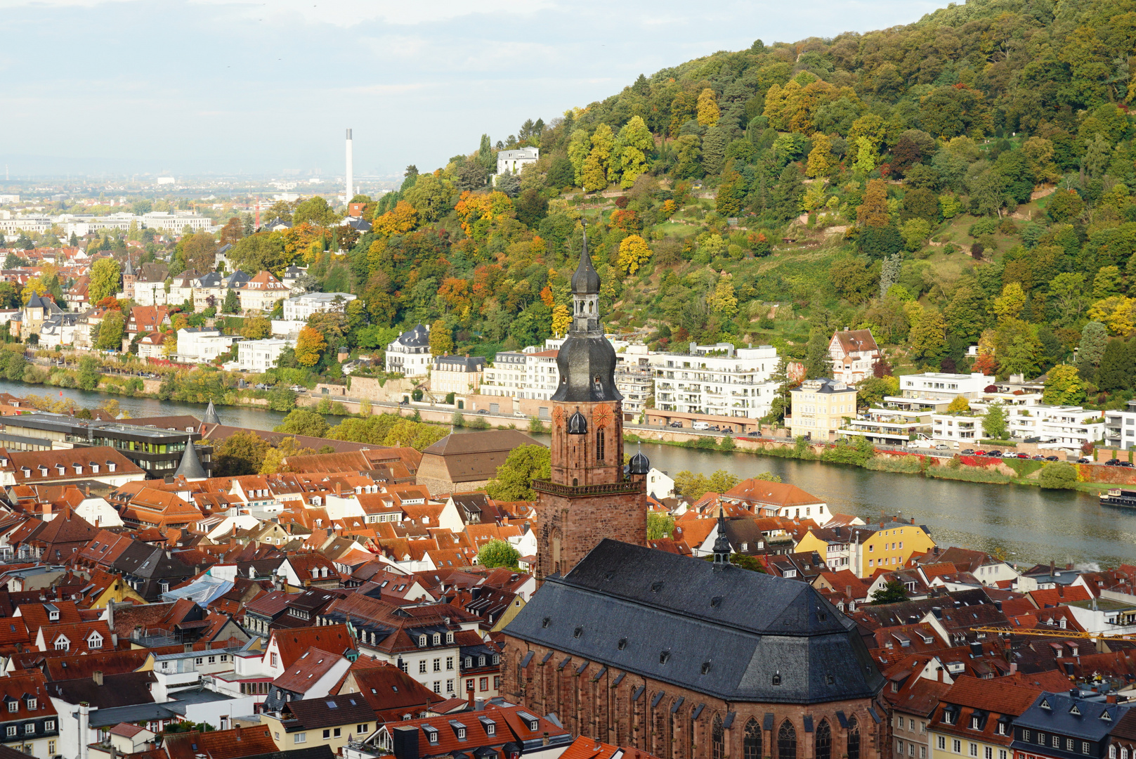 Heidelberg - Blick über den Neckar