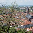 Heidelberg - Blick vom Schloss