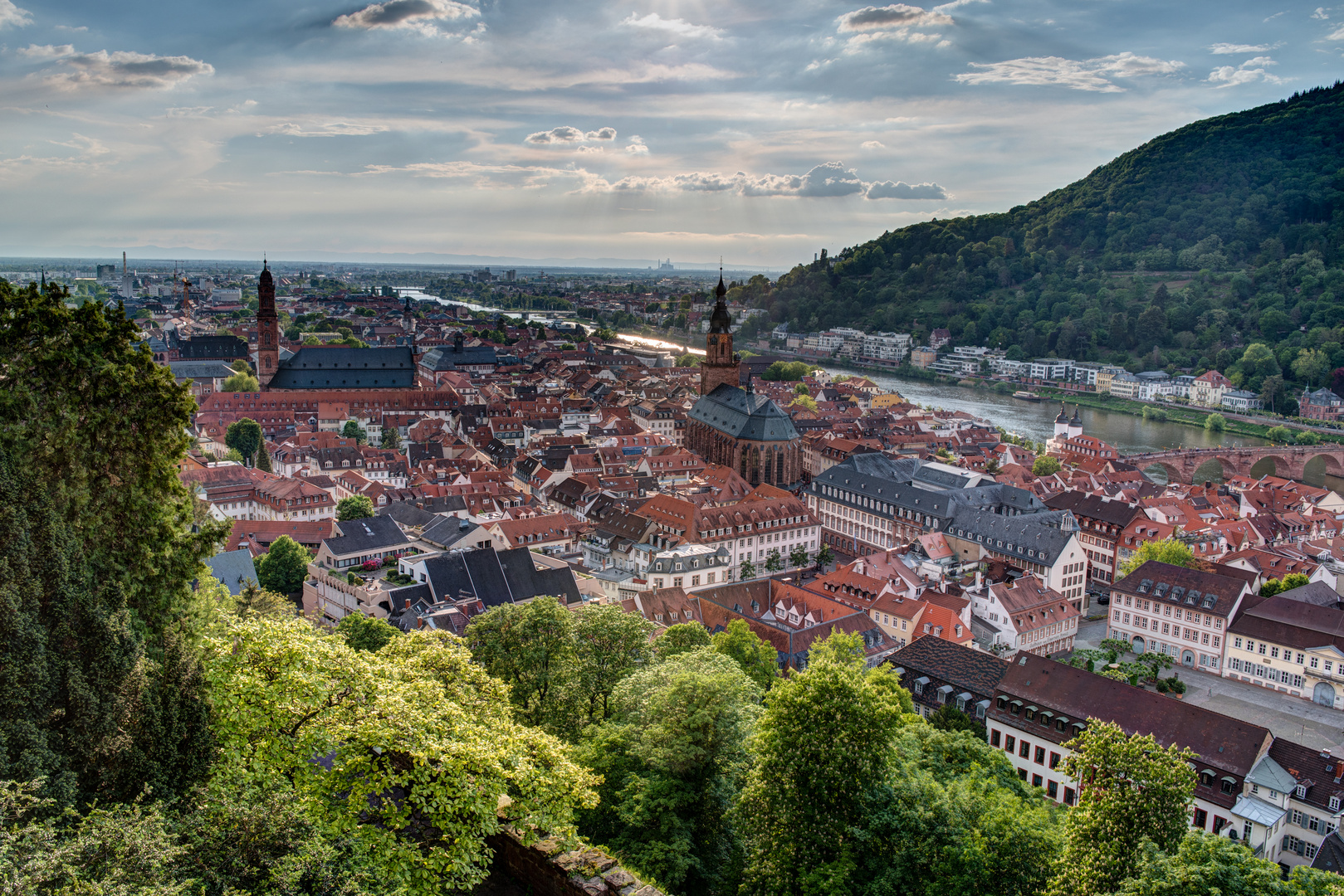 Heidelberg / Blick vom Schloss 