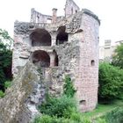 Heidelberg "Burg"