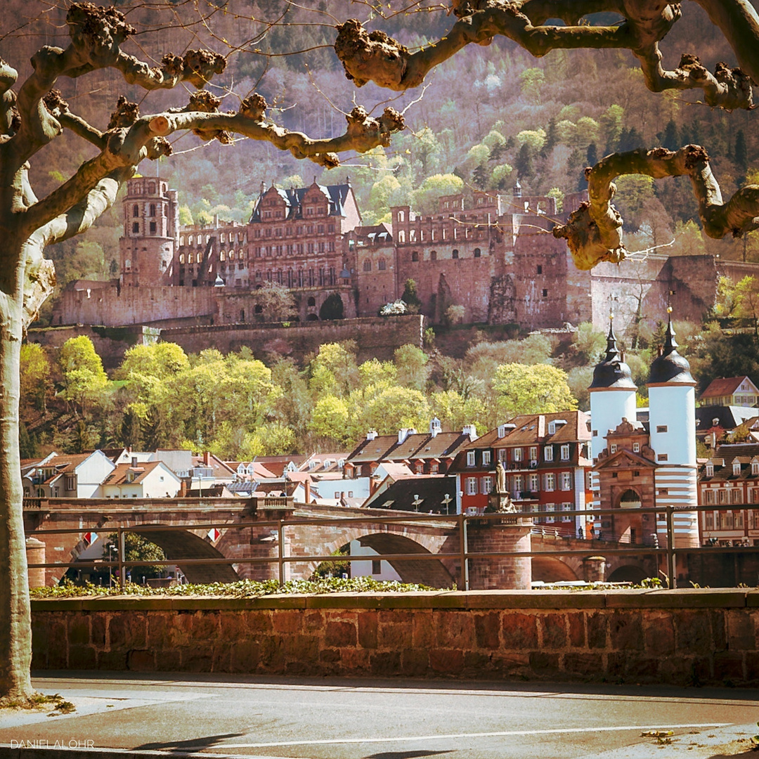 Heidelberg- Castle