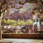 Heidelberg- Castle