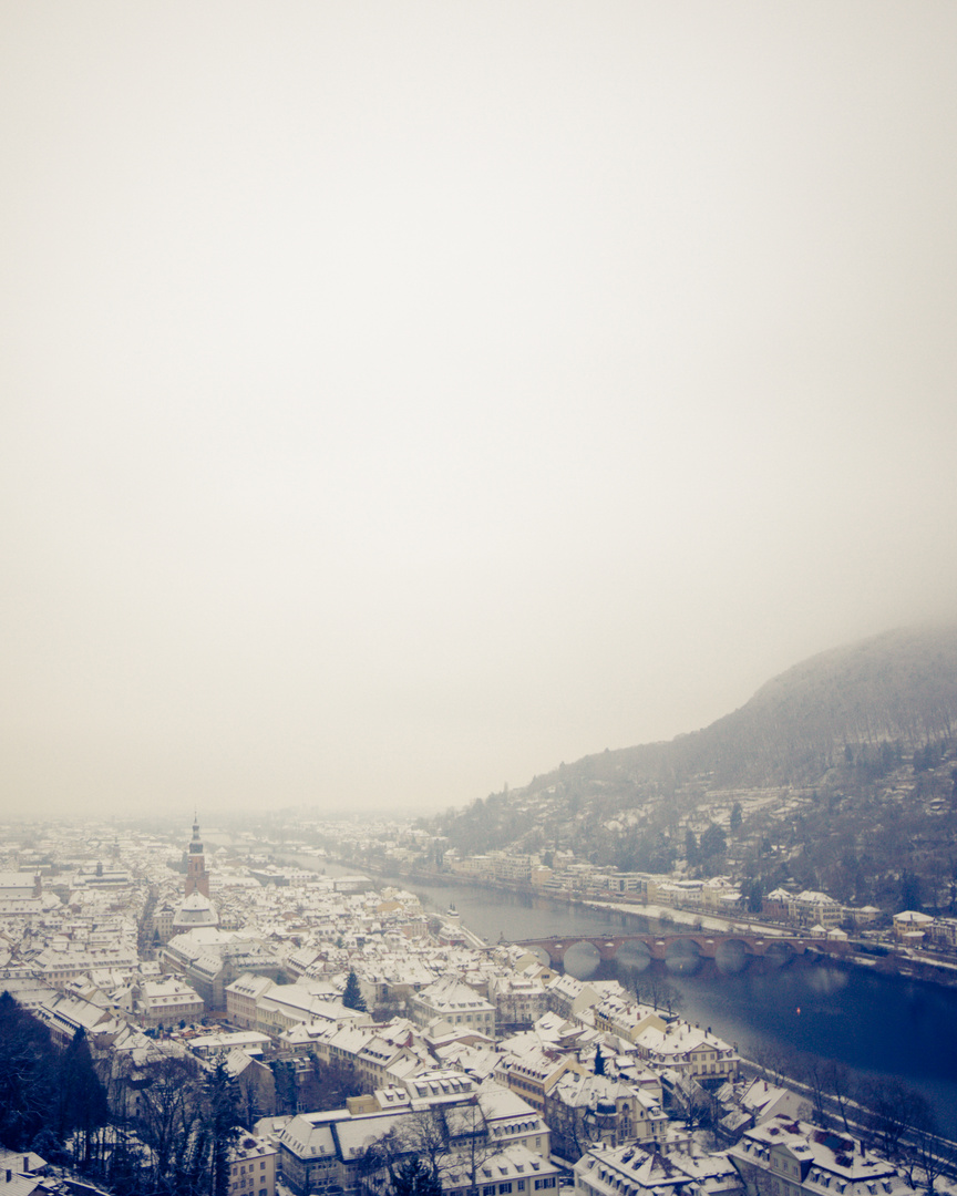 Heidelberg Castle View