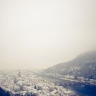 Heidelberg Castle View