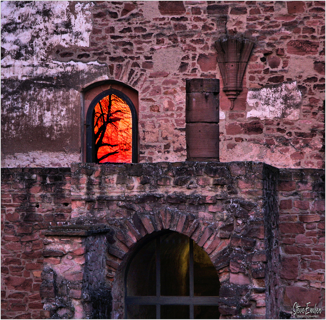Heidelberg Castle Winter Sunset Reflection