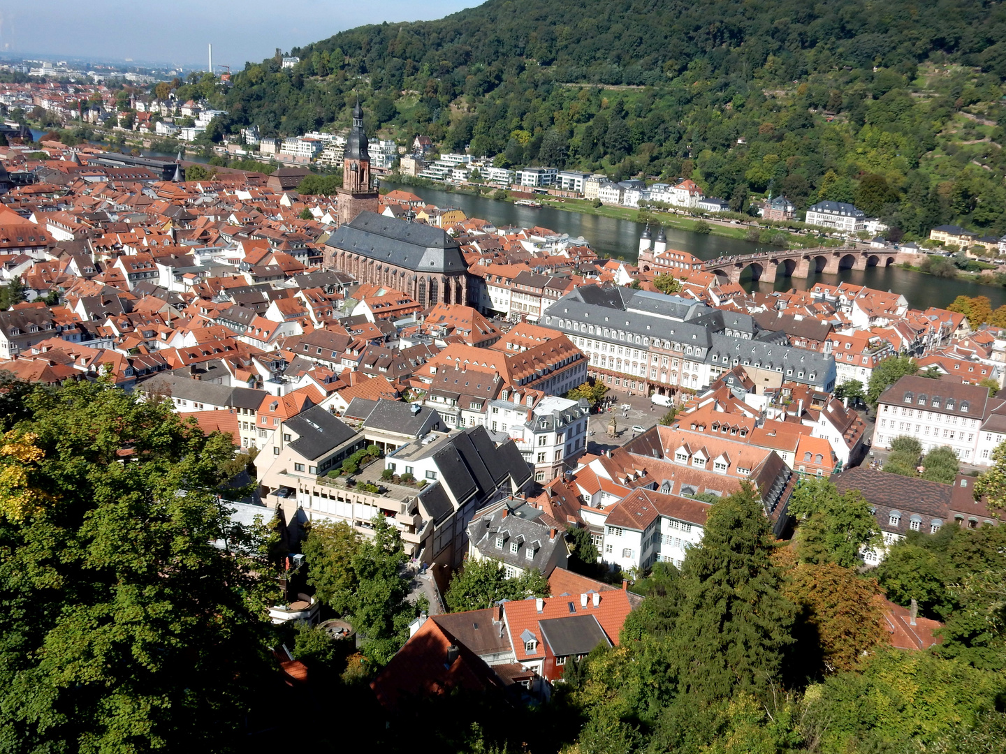 Heidelberg