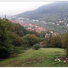 Heidelberg