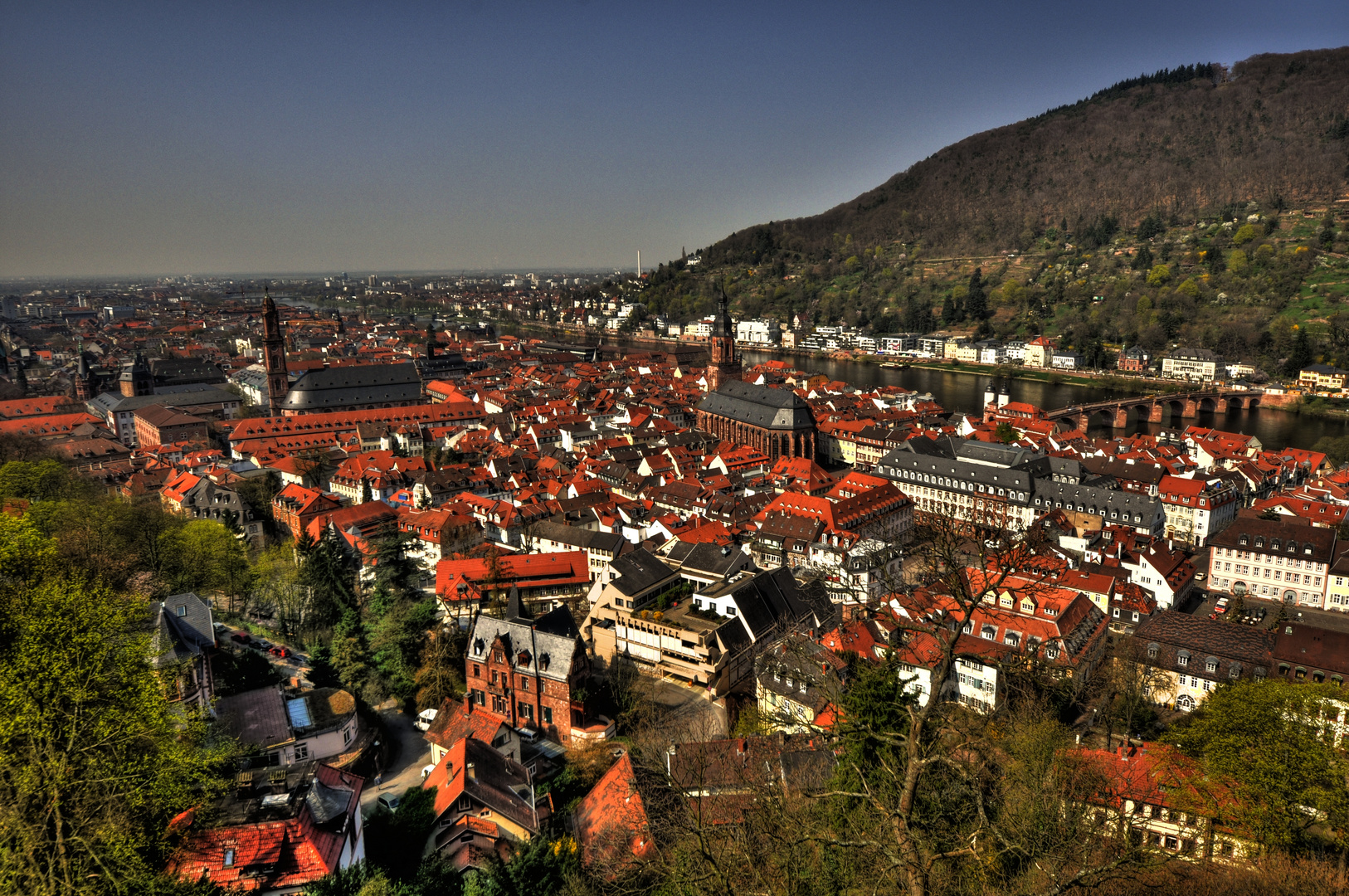 Heidelberg .