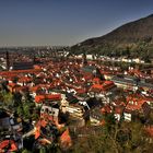 Heidelberg .
