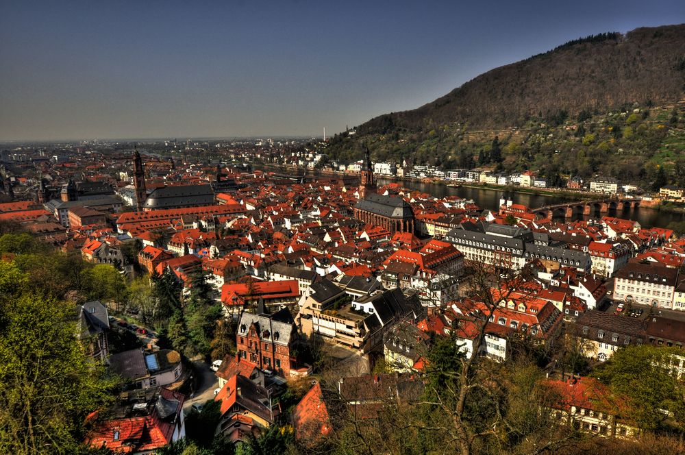 Heidelberg .