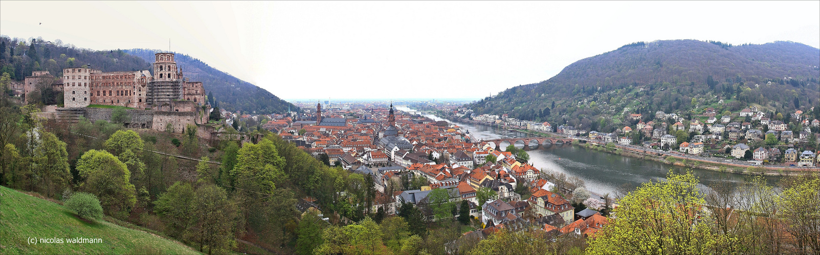 Heidelberg.