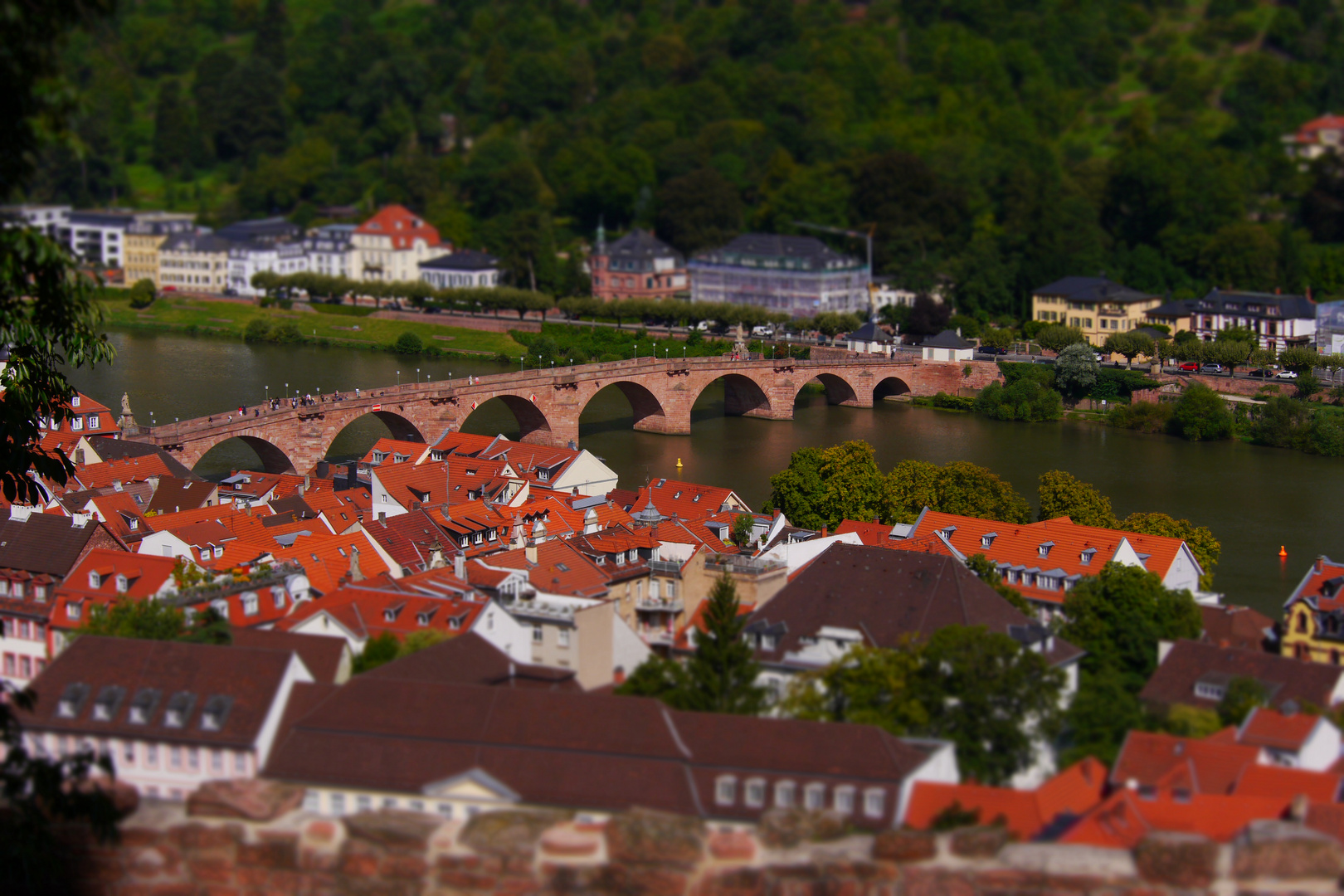 Heidelberg