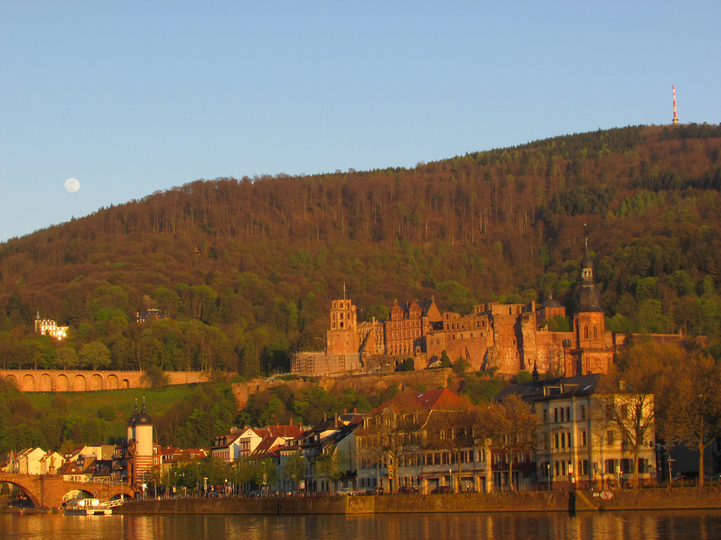 Heidelberg from a distance