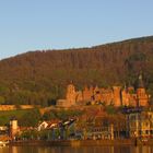 Heidelberg from a distance