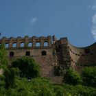 Heidelberg II