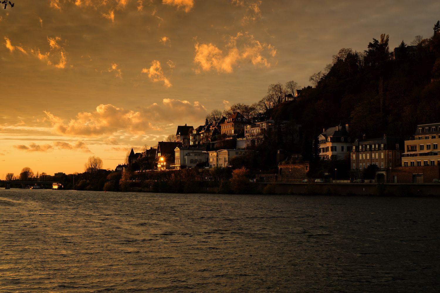 Heidelberg im besten Licht