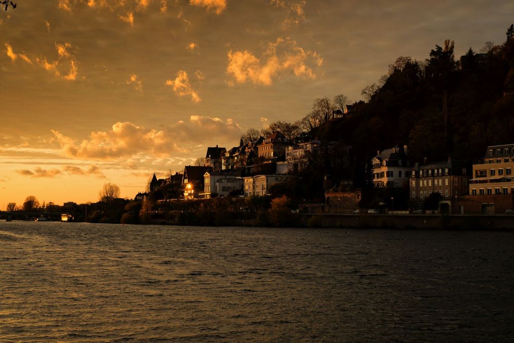 Heidelberg im besten Licht