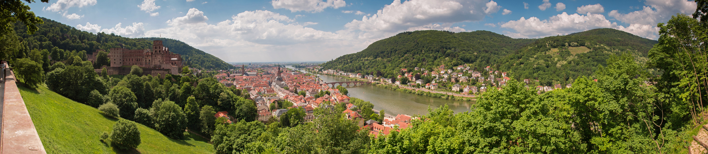 Heidelberg im Ganzen
