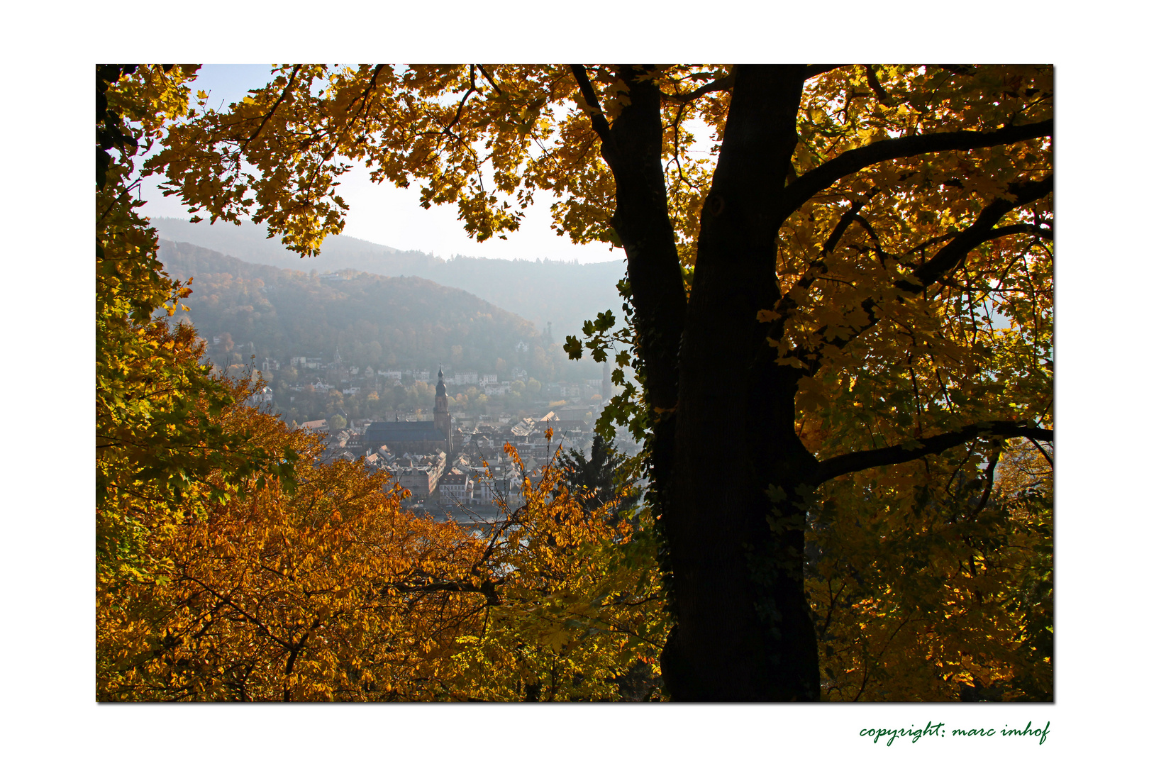 Heidelberg im Herbst