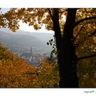 Heidelberg im Herbst