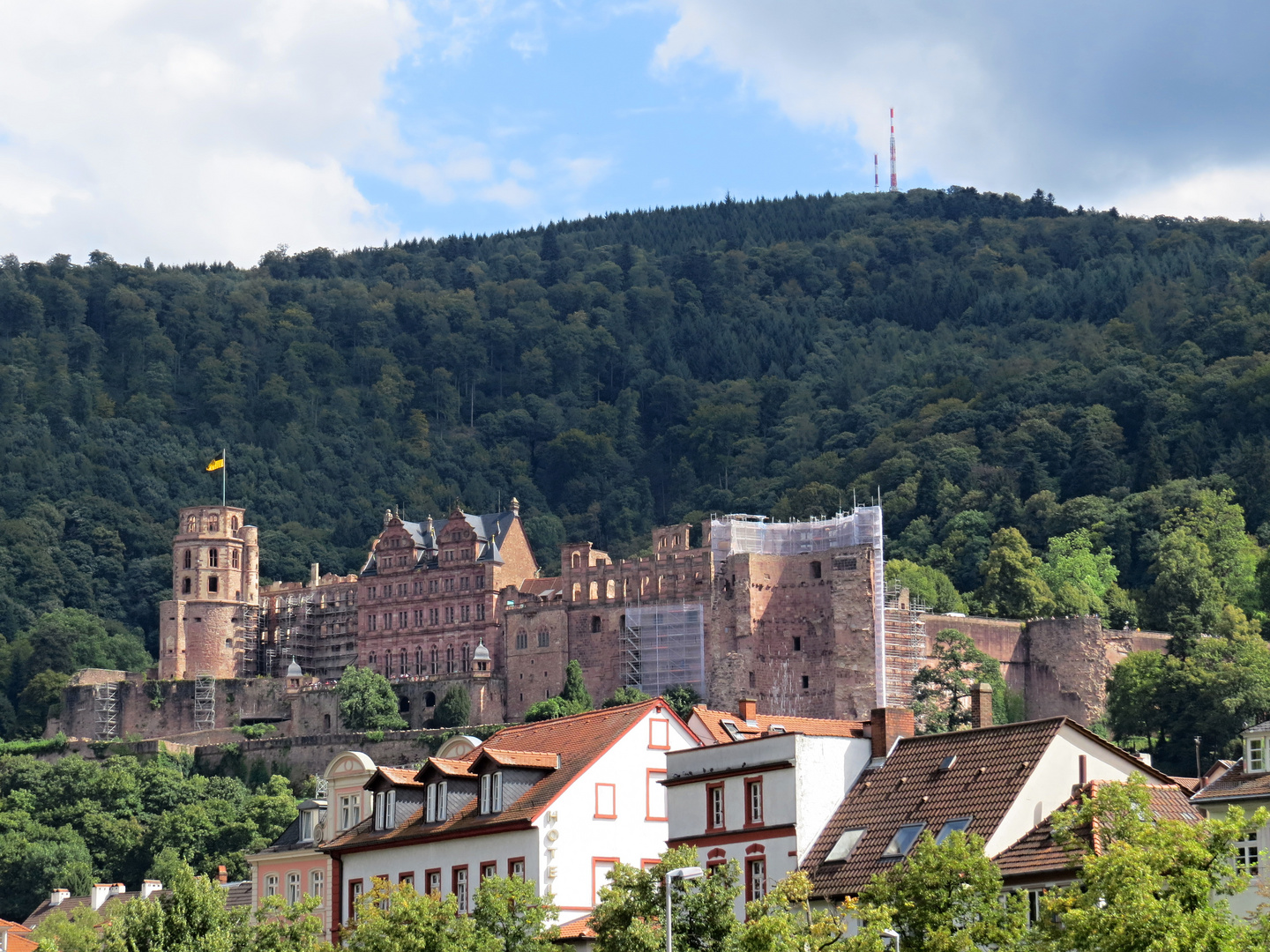 Heidelberg im Hintergrund das Schloss