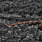 Heidelberg im Juli... (4)