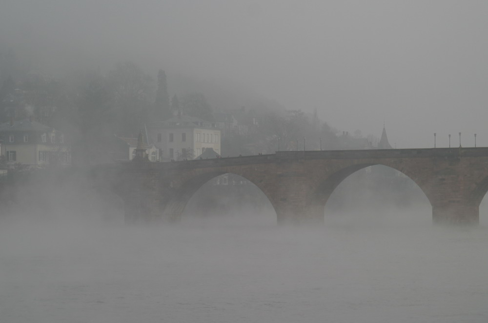 Heidelberg im Nebel