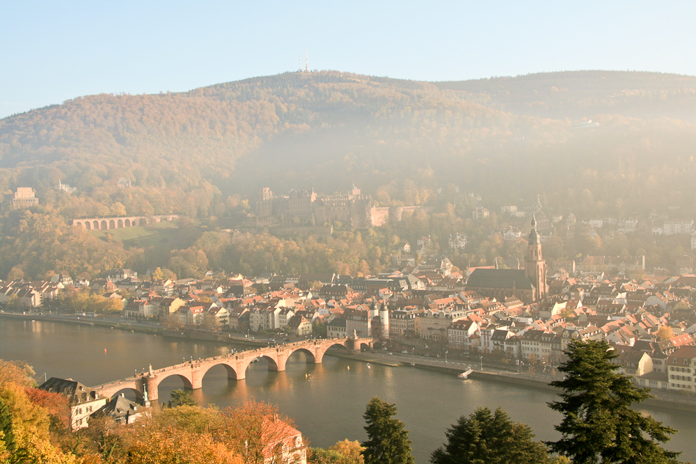 Heidelberg im Nebel