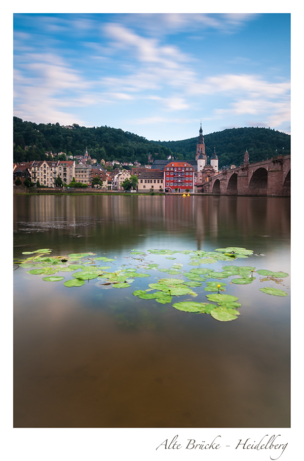 Heidelberg - Im Neckar